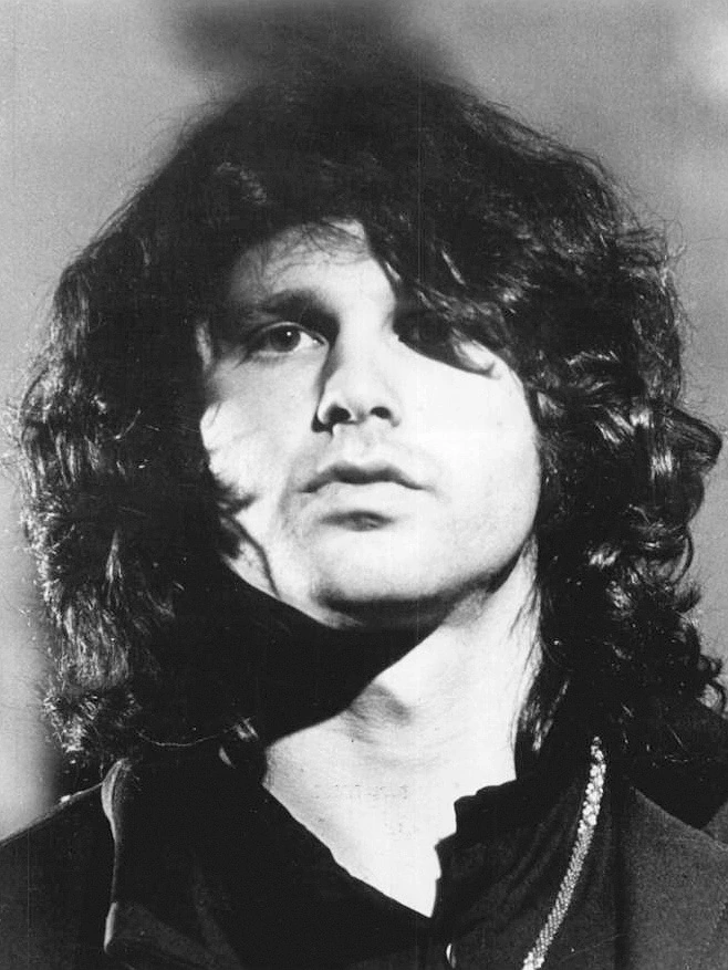 Bird of Prey Jim Morrison Meaning: Symbolism, Dreams, and Intent
